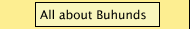 All about Buhunds