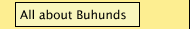 All about Buhunds